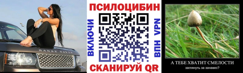 Купить  Мариинск  Галлюциногенные грибы GOLDEN TEACHER 